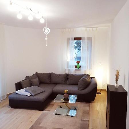 Ebenerdige Ferienwohnung Mit Grosser Terrasse In Der Naehe Des Waldes, Zum Wohlfuehlen Schoneck Exterior foto